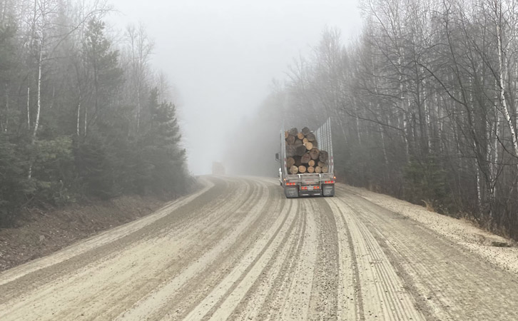 A logging truck carrying large timber logs drives on a foggy, dirt road surrounded by leafless trees.