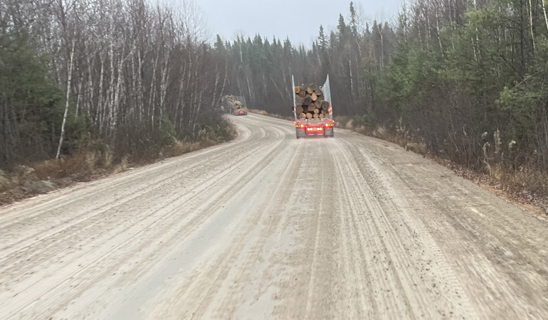 A logging truck loaded with timber drives down a winding, dirt road lined with sparse trees and another truck visible in the distance.