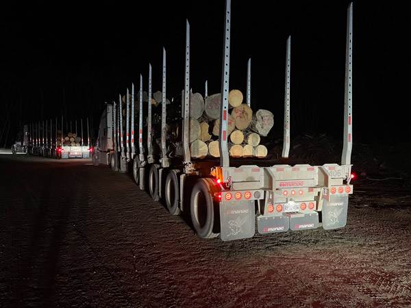 A row of logging trucks loaded with timber is parked on a dirt road at night, illuminated by their rear lights.