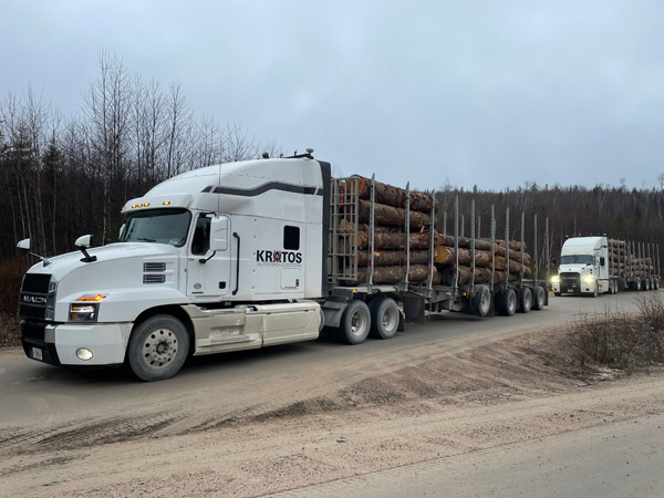 Two large white semi-trucks loaded with timber logs are parked on a dirt road with a leafless forest in the background.